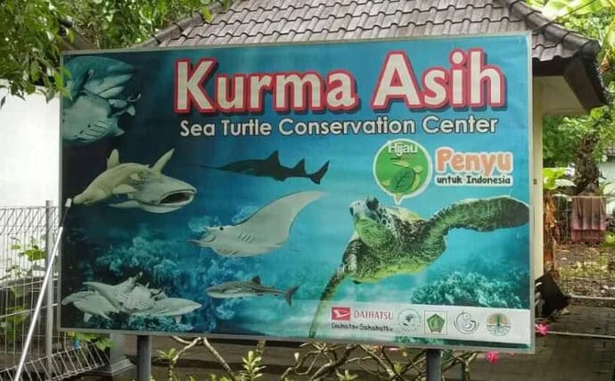 Papan informasi pusat konservasi penyu Kurma Asih di Bali.